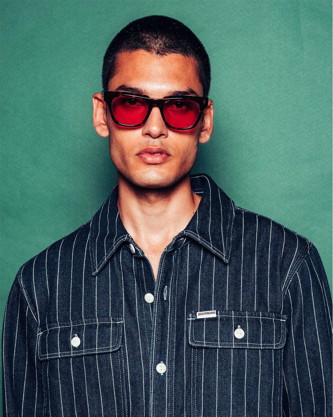 Ace - Dark Tortoise - Image 5