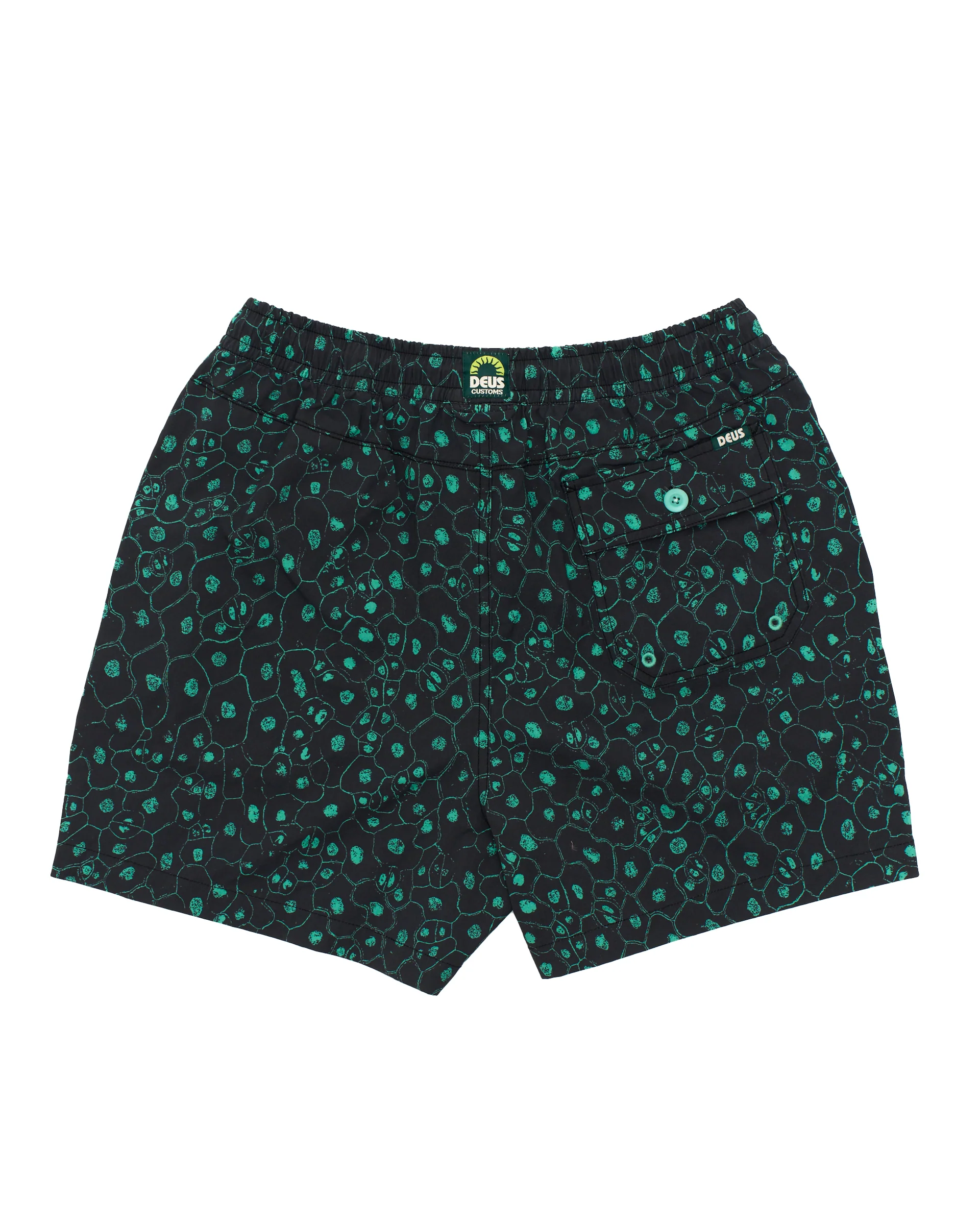 Plant Cell Boardshort - Biscay Green - Image 6