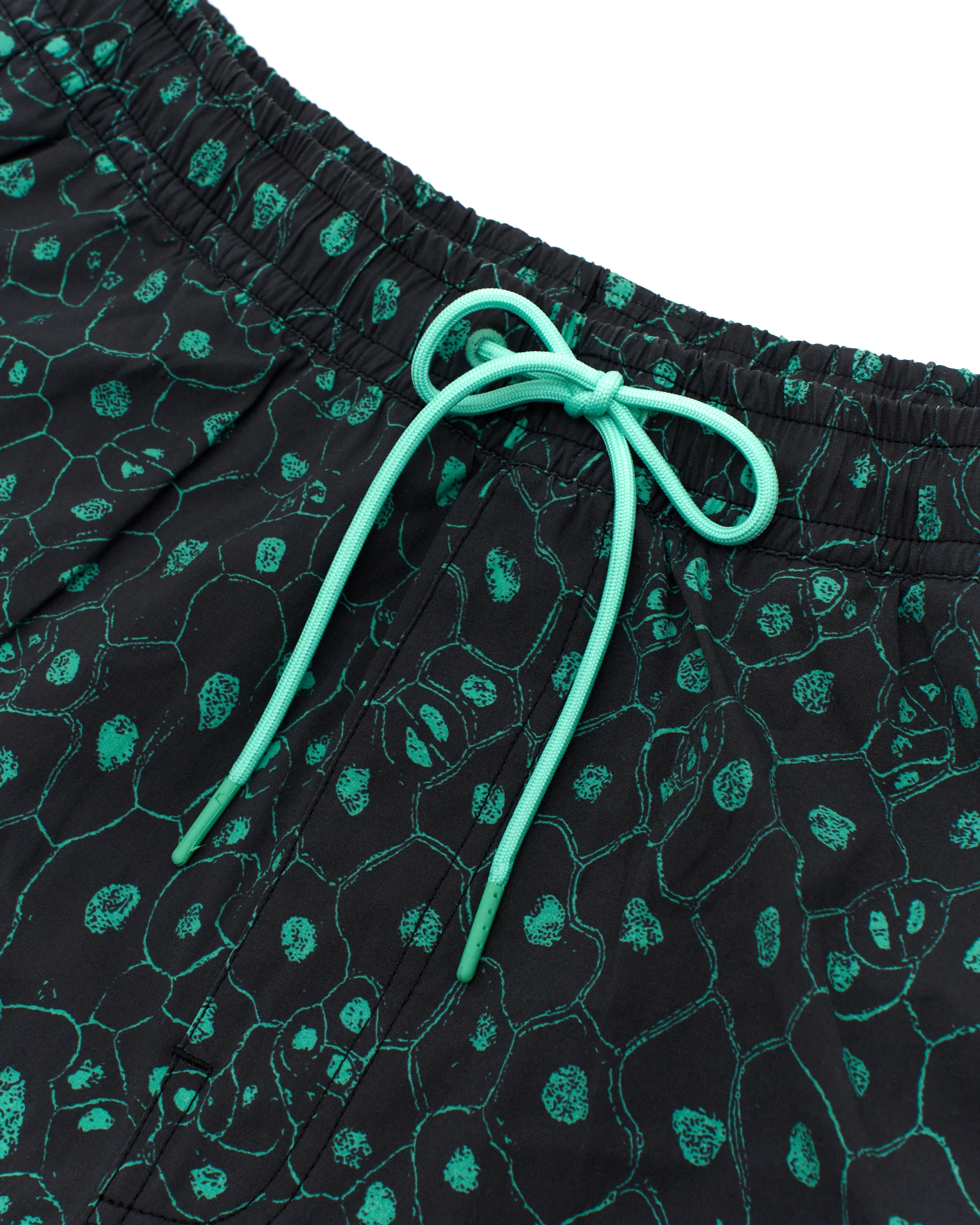 Plant Cell Boardshort - Biscay Green - Image 8